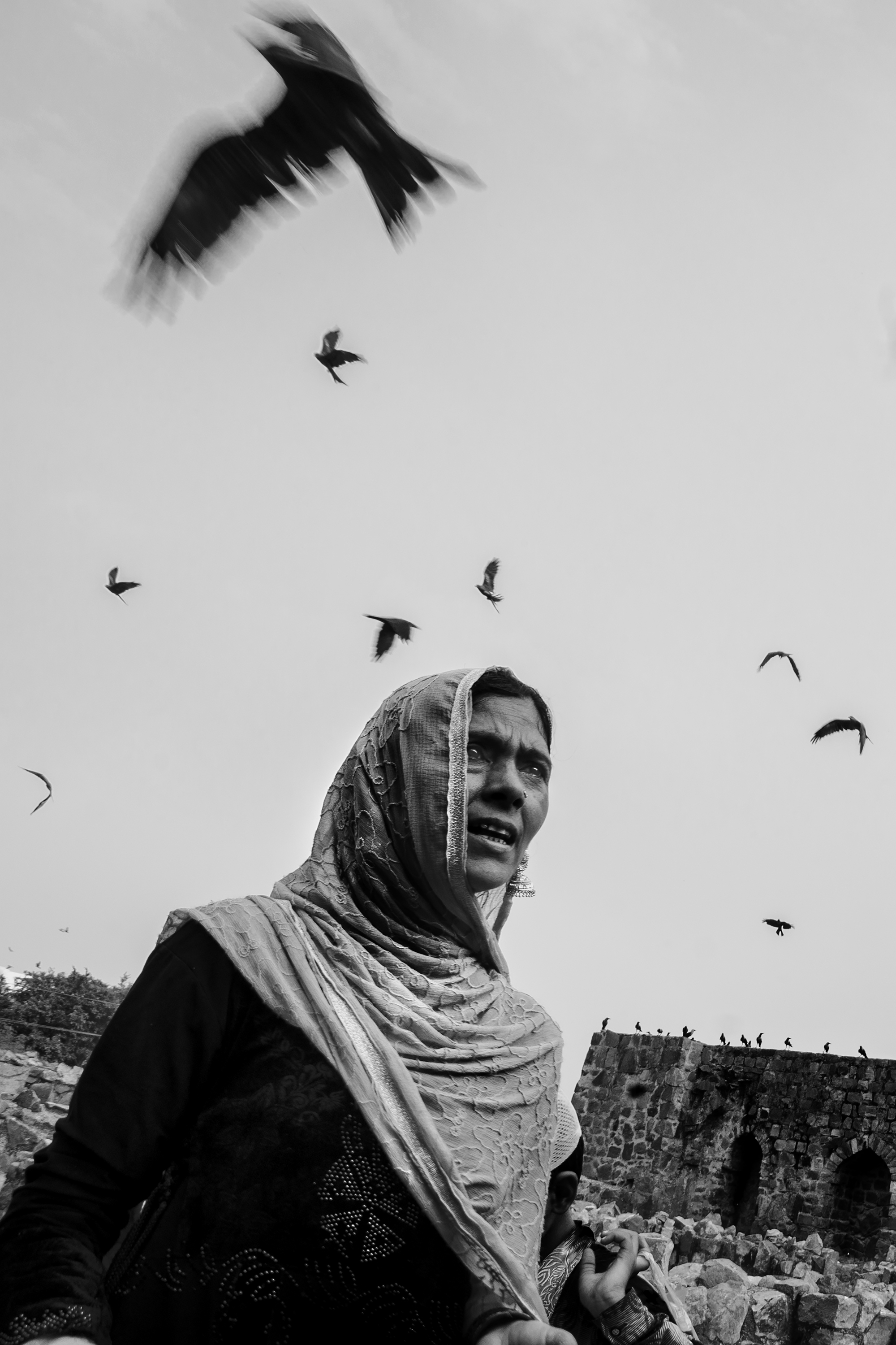 A Displaced Hope image 2